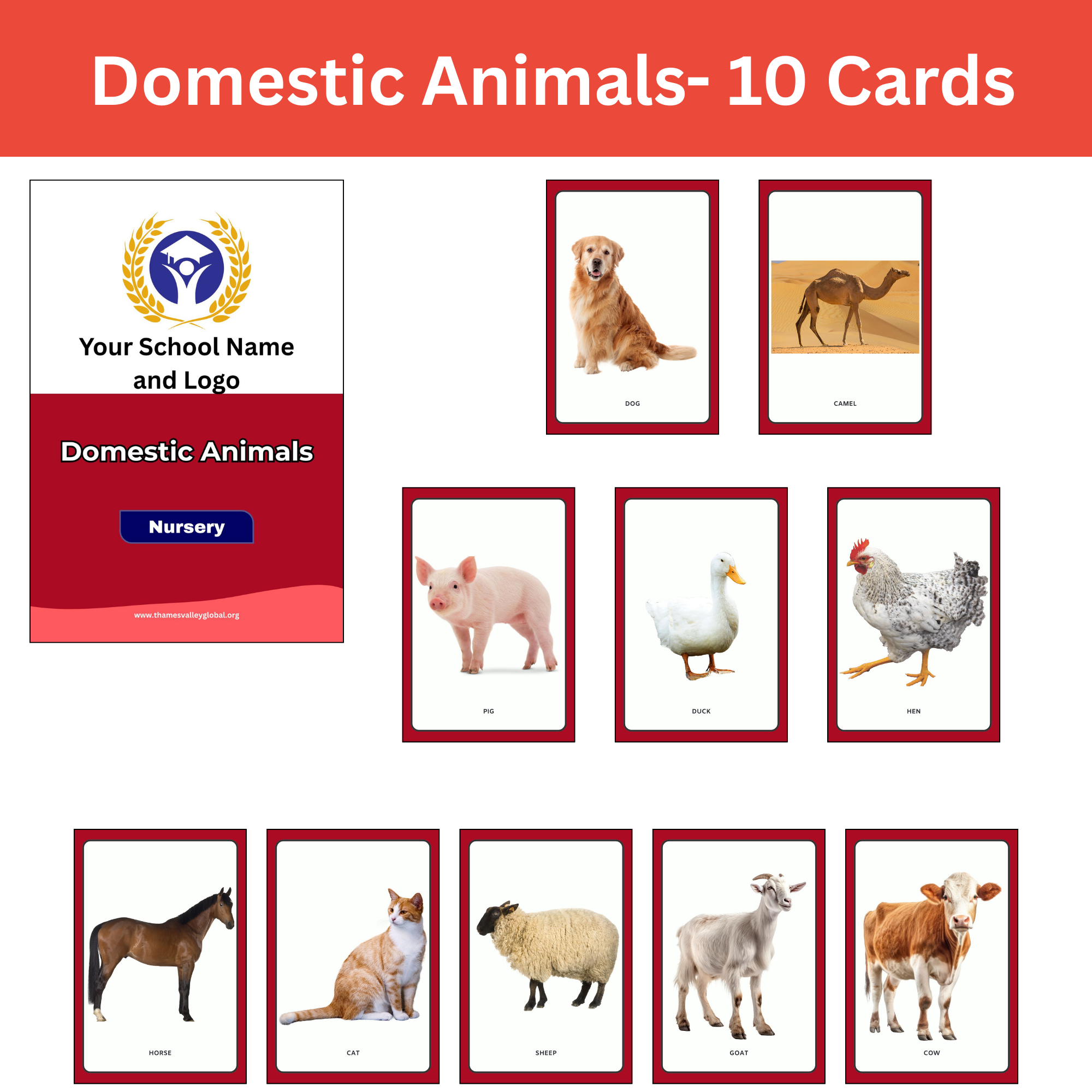 Domestic Animals - 10 Cards|Flash Cards|0 to 3 Years