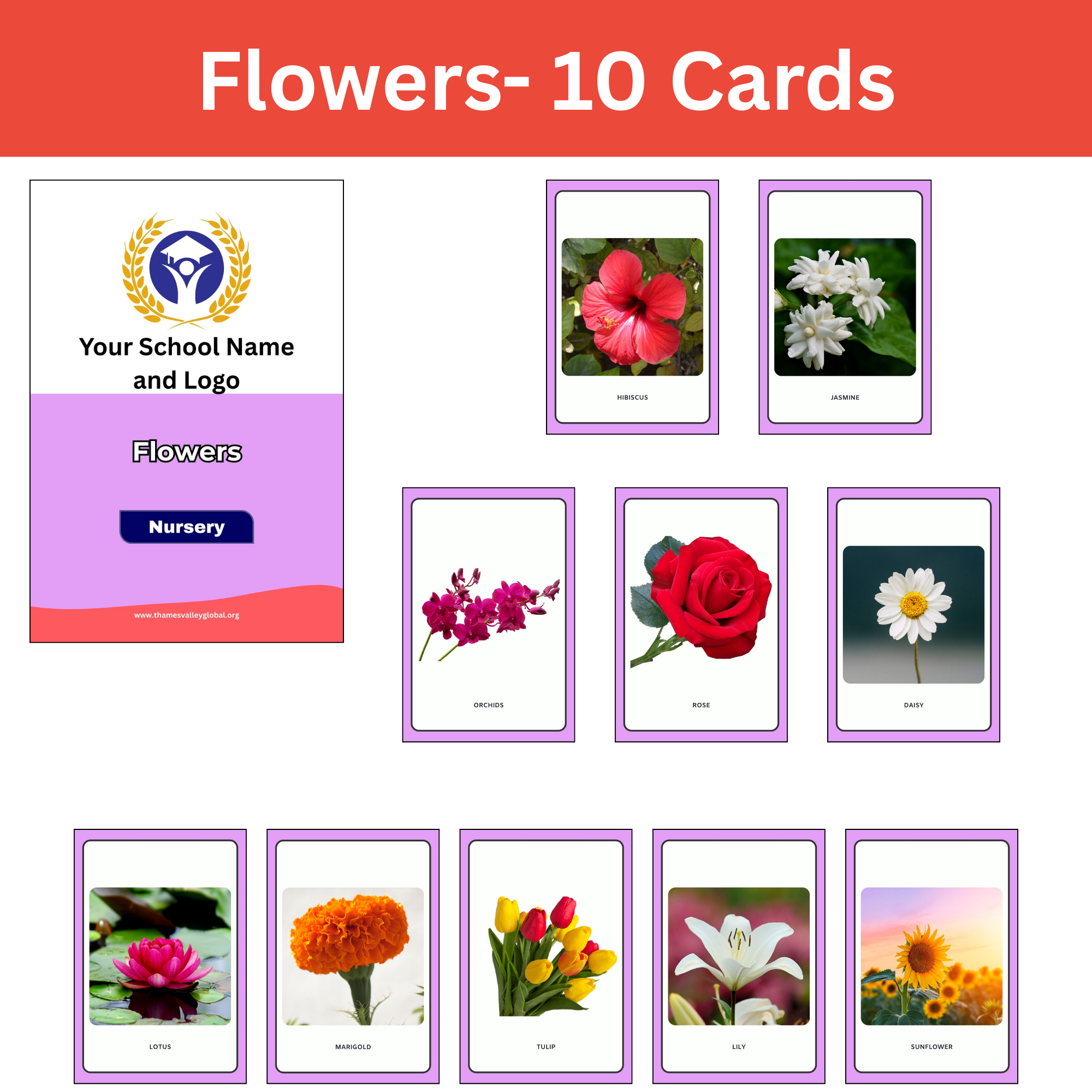 Flowers - 10 Cards|Flash Cards|0 to 3 Years