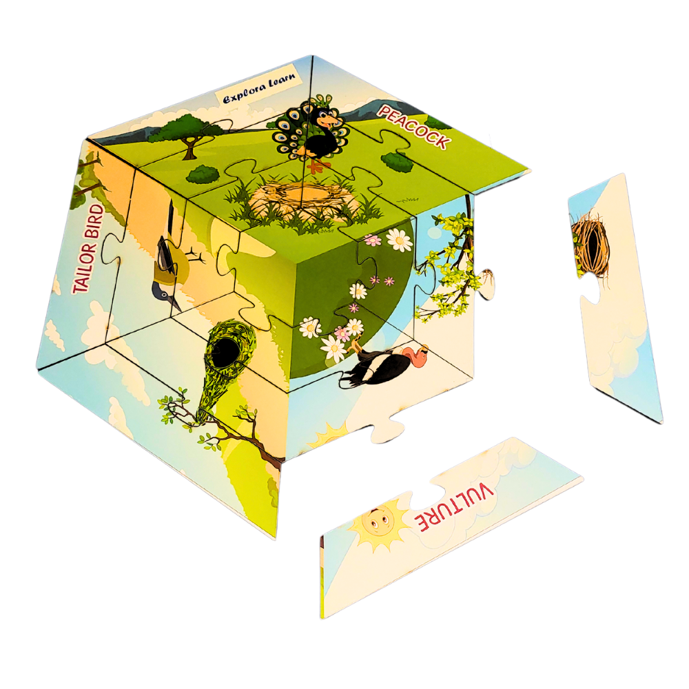 Hexagon Habitat Puzzle – Birds|Puzzle Activity|4–6 Years