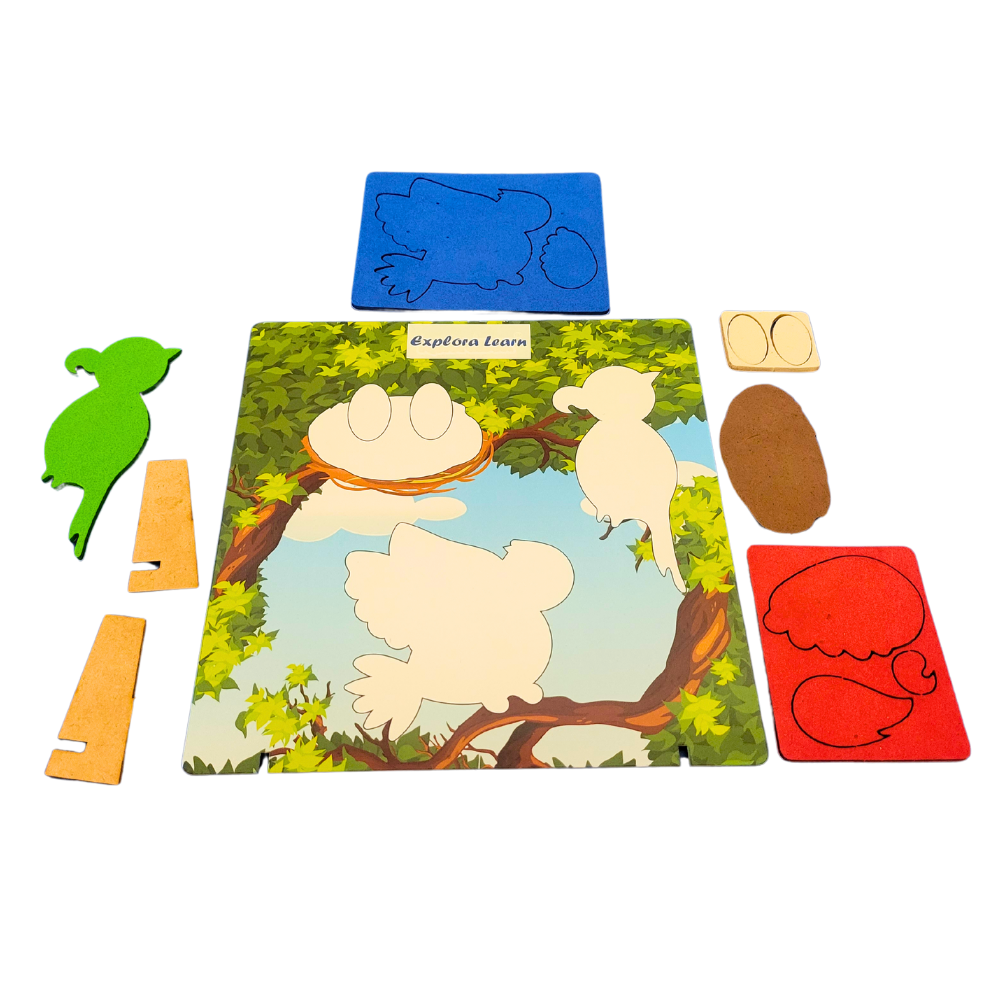 Nature Frame|Art and Craft Activity|3–5 Years