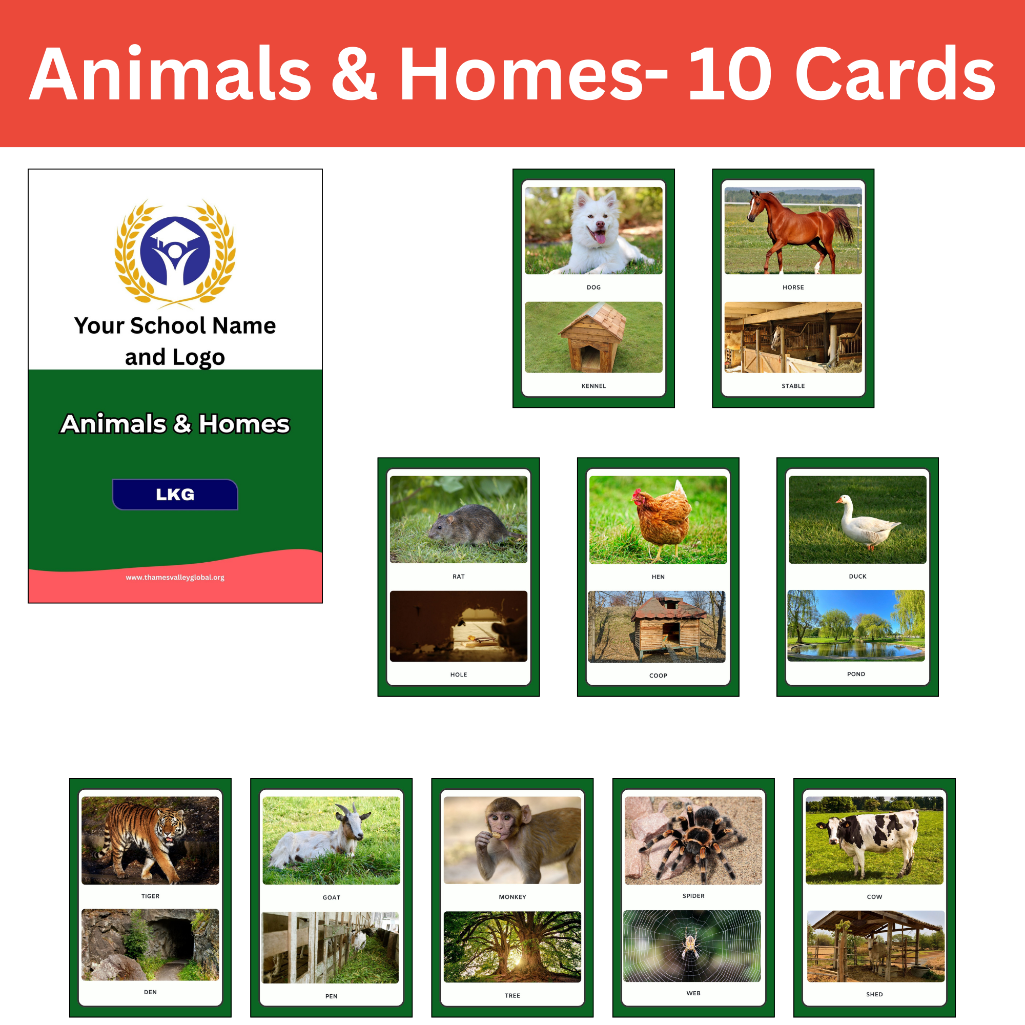 Animals & Homes- 10 Cards|Flash Cards|3 to 5 Years