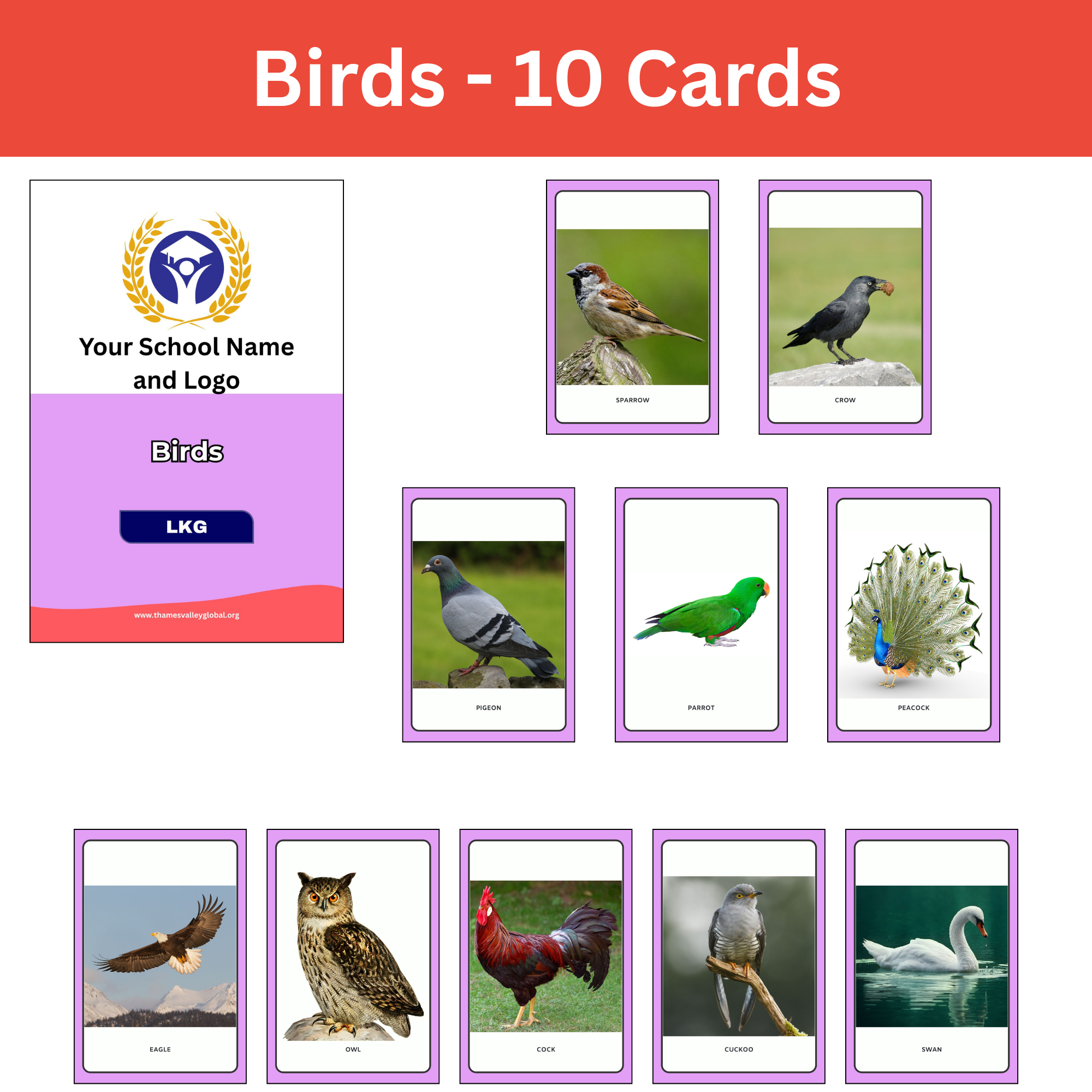 Birds - 10 Cards|Flash Cards|3 to 5 Years
